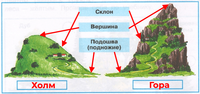 Решение рисунок 1