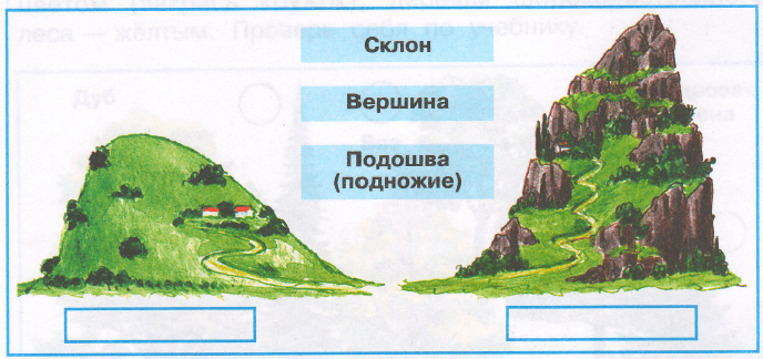 Задание рисунок 1