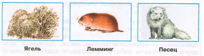Решение рисунок 1