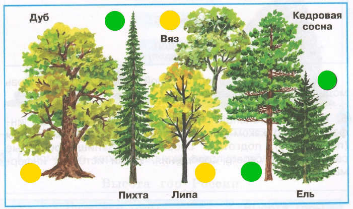 Решение рисунок 1