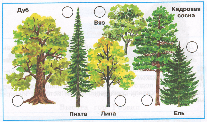 Задание рисунок 1
