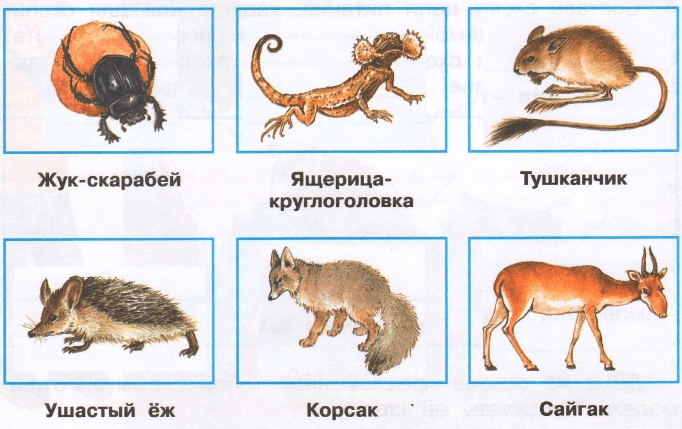 Решение рисунок 1