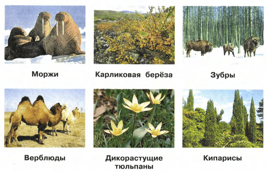Задание рисунок 1