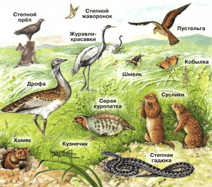 Задание рисунок 1