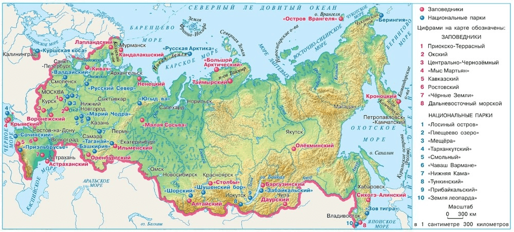Задание рисунок 1