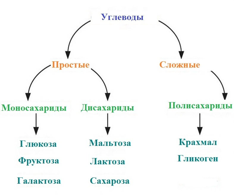 Решение рисунок 1