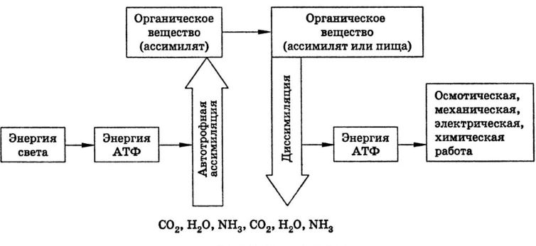 Решение рисунок 1