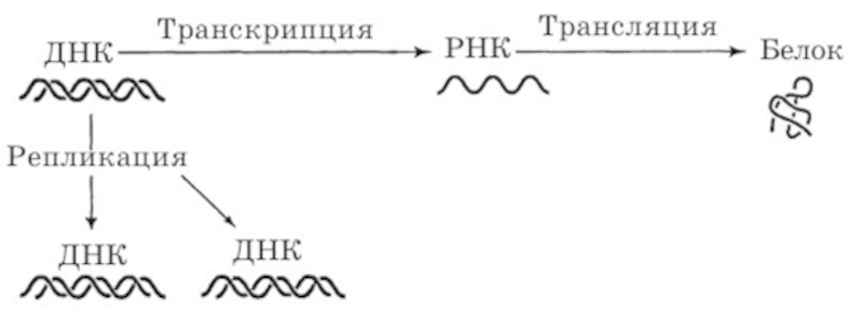 Решение рисунок 1