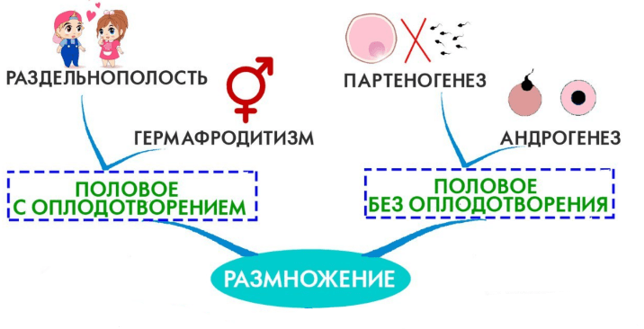 Решение рисунок 1