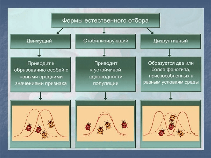 Решение рисунок 1
