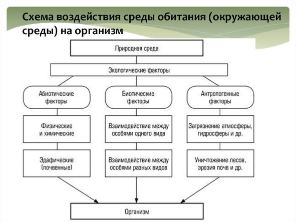 Решение рисунок 1