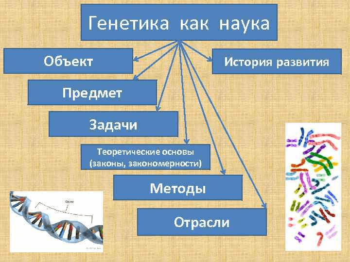 Решение рисунок 1