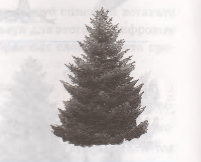 Задание рисунок 1
