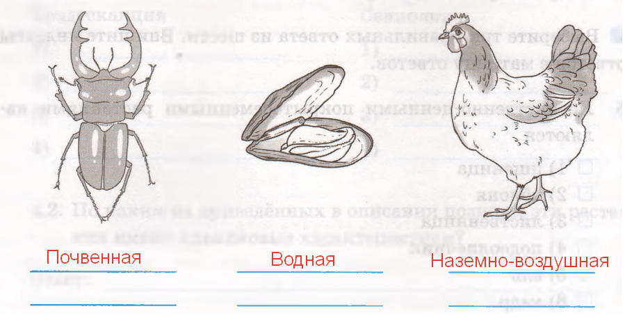 Решение рисунок 1