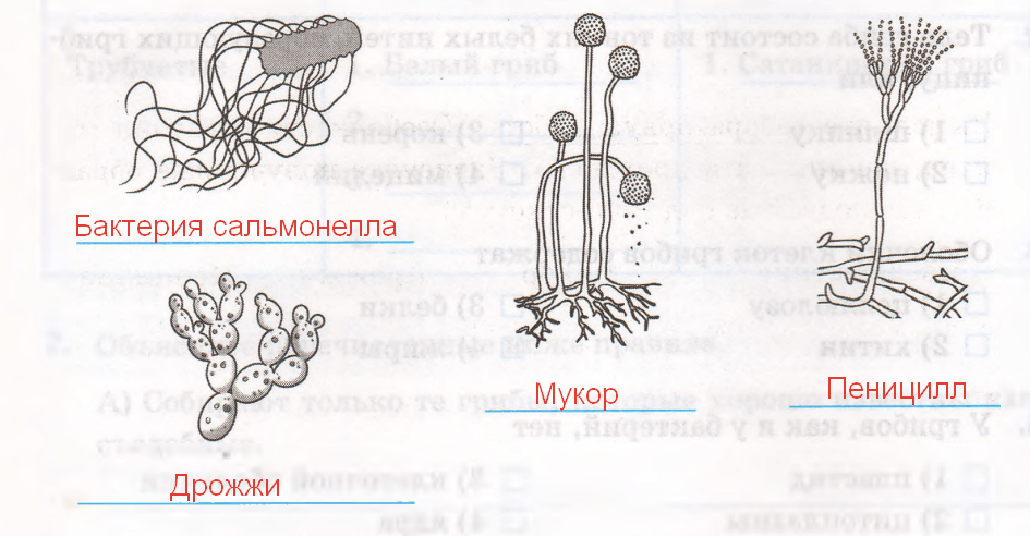 Решение рисунок 1