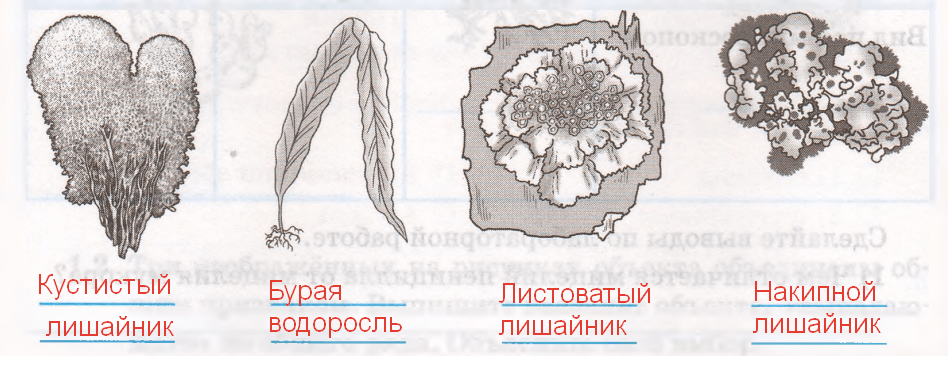 Решение рисунок 1