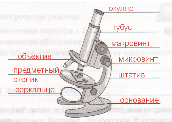 Решение рисунок 1