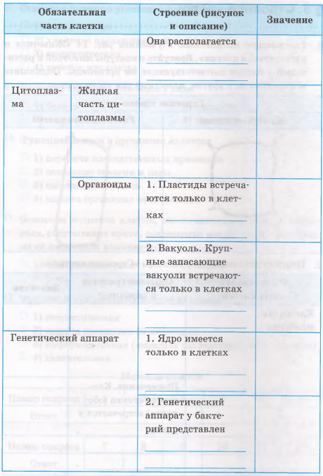 Задание рисунок 2