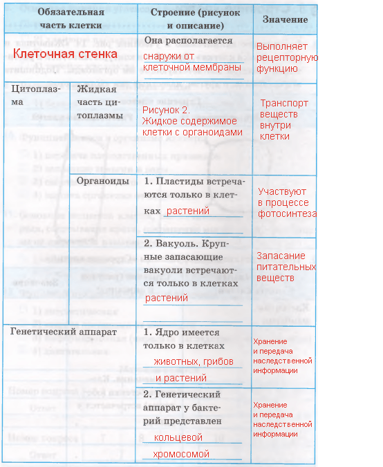 Решение рисунок 2