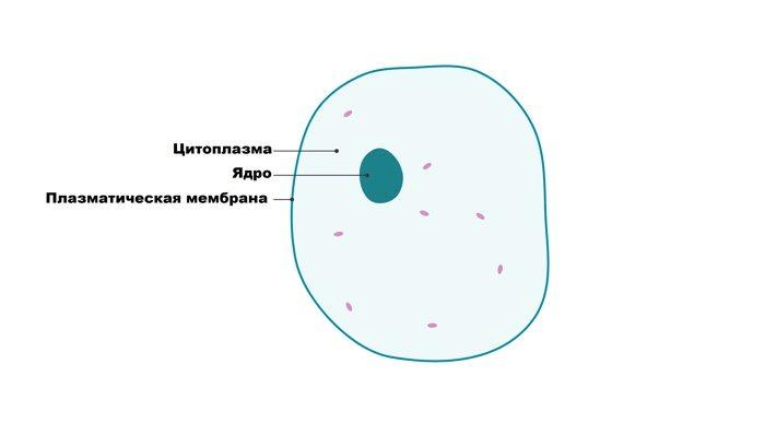 Решение рисунок 4