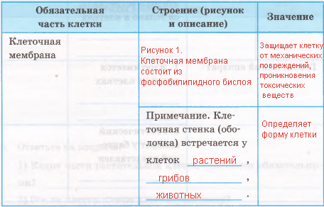 Решение рисунок 1