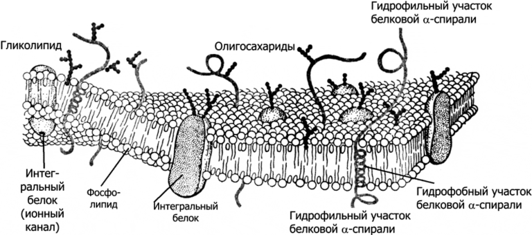 Решение рисунок 3