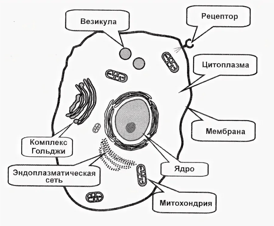 Решение рисунок 3