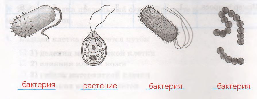Решение рисунок 1