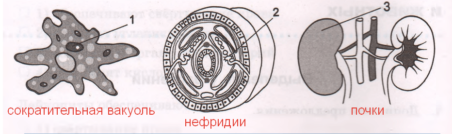 Решение рисунок 1