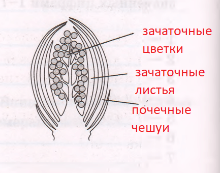 Решение рисунок 2