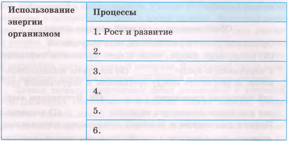 Задание рисунок 1