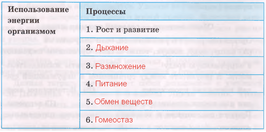 Решение рисунок 1