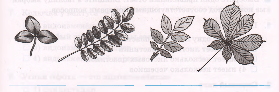 Задание рисунок 1