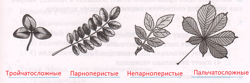 Решение рисунок 1
