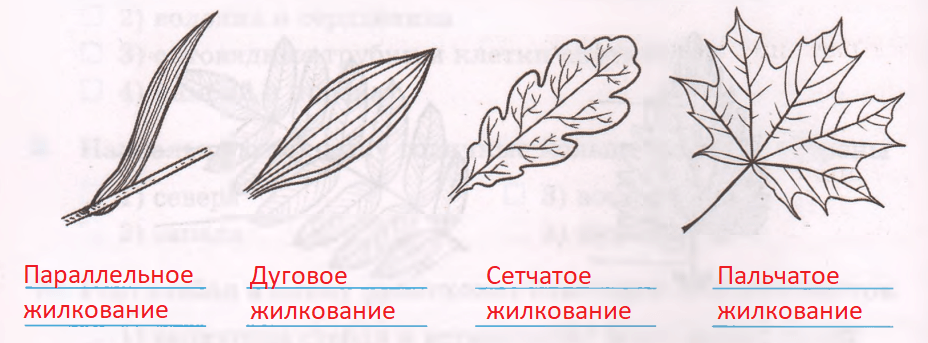 Решение рисунок 1