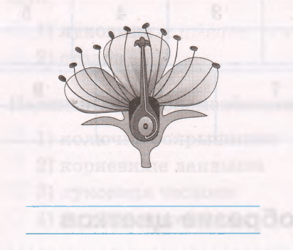 Задание рисунок 1