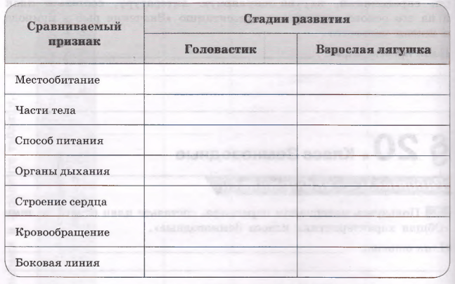 Задание рисунок 1