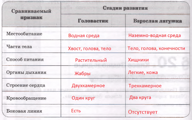 Решение рисунок 1