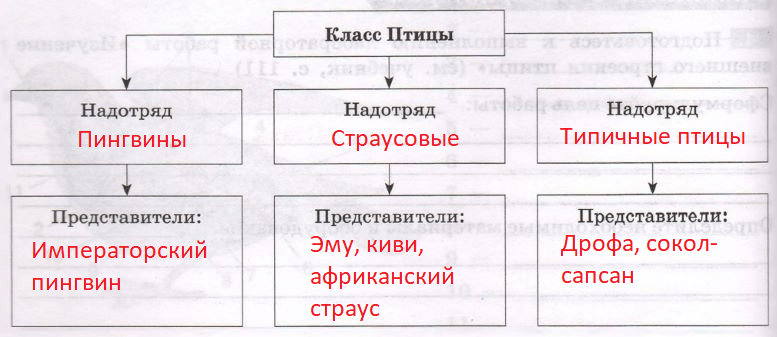 Решение рисунок 1