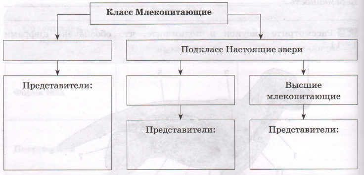 Задание рисунок 1