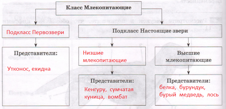 Решение рисунок 1