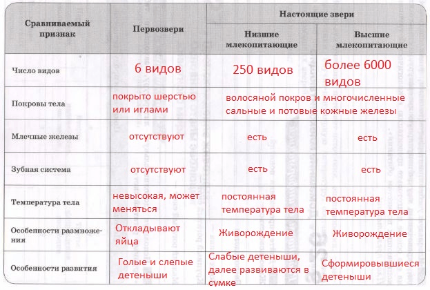Решение рисунок 1