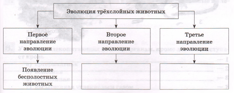 Задание рисунок 1