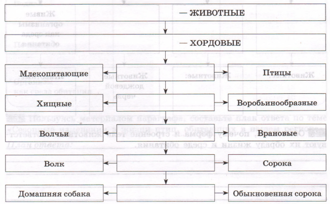 Задание рисунок 1