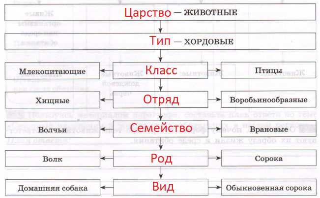 Решение рисунок 1