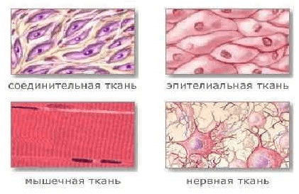 Решение рисунок 1