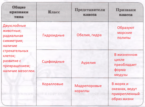 Решение рисунок 1