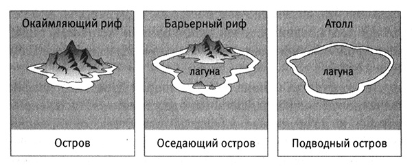 Решение рисунок 1