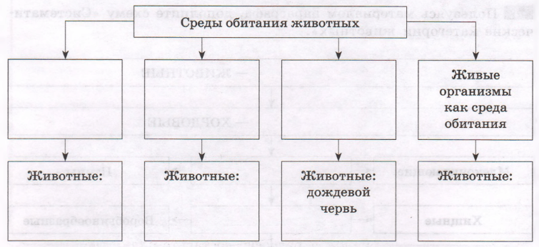 Задание рисунок 1