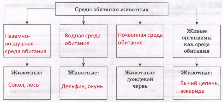 Решение рисунок 1